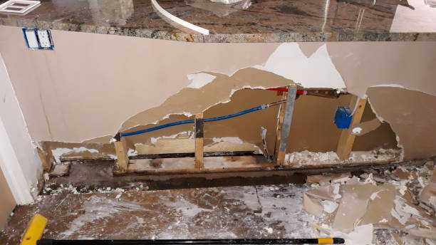  Mancelona, MI Water damage restoration Pros